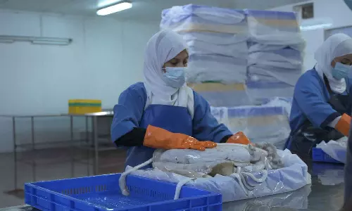 ഒമാനിൽ മത്സ്യ വ്യവസായ മേഖലയിൽ വൻ കുതിപ്പ്