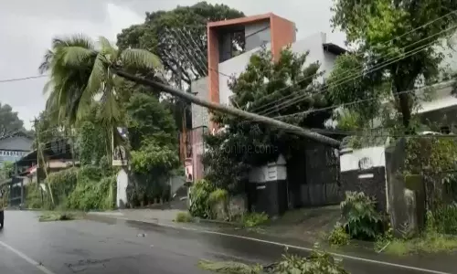 Heavy rains: Widespread damage in the state, latest news malayalam മഴ കനക്കുന്നു: സംസ്ഥാനത്ത് വ്യാപക നാശനഷ്ടം