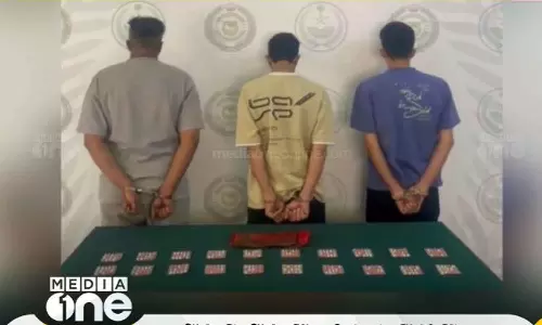 സൗദിയിൽ മയക്കുമരുന്ന് വേട്ട ശക്തമാക്കി; പ്രവാസികളടക്കം 25 പേർ അറസ്റ്റിൽ