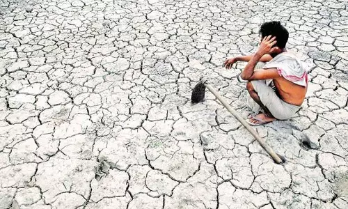 Maharashtra witnesses 1,267 farmer suicides since January