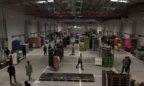 ഒമാനിലെ സിലാൽ സെൻട്രൽ മാർക്കറ്റിൽ 1,100 റഫ്രിജറേറ്ററുകൾ സ്ഥാപിച്ചു