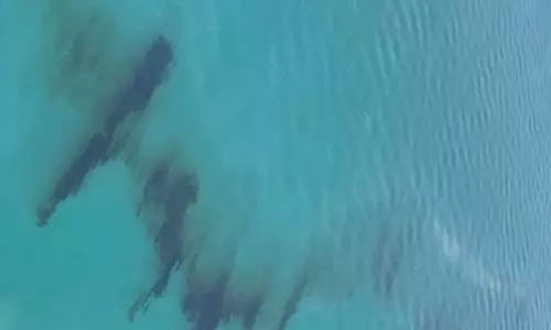 Kuwait averted an environmental disaster by controlling the Ras al-Julai oil spill