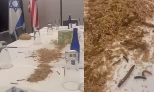 Palestinian protesters release maggots, crickets in Watergate Hotel in protest of Israel PM Benjamin Netanyahu US visit, Netanyahu US visit