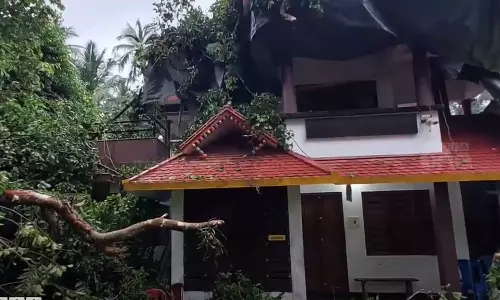 കനത്ത മഴയും അതിശക്ത കാറ്റും; വടക്കൻ കേരളത്തിൽ വൻ നാശനഷ്ടം കനത്ത മഴയും അതിശക്ത കാറ്റും; വടക്കൻ കേരളത്തിൽ വൻ നാശനഷ്ടം