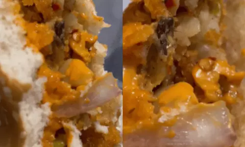 ഇനിയാരെ വിശ്വസിക്കും..? ബർഗറിൽ ചത്ത പ്രാണി, പ്രമുഖ ഫുഡ് ബ്രാൻഡിനെതിരെ യുവതിയുടെ വീഡിയോ