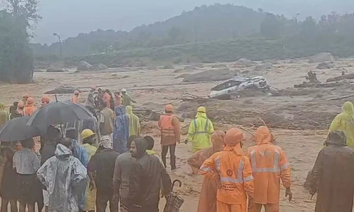 മുണ്ടക്കൈ ദുരന്തം; 51 പേരുടെ പോസ്റ്റ്‌മോര്‍ട്ടം നടപടികള്‍ പൂര്‍ത്തീകരിച്ചു