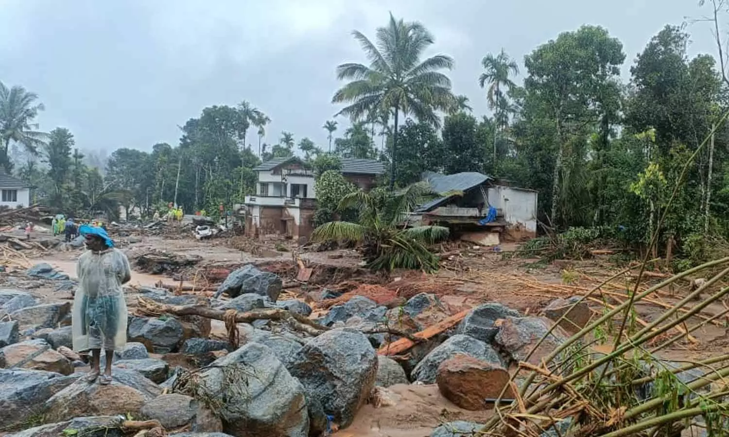 wayanad landslide