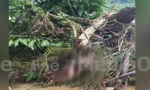 ചാലിയാര്‍ പുഴയില്‍നിന്ന് 9 മൃതദേഹങ്ങള്‍ കണ്ടെത്തി; ഇരുവഴിഞ്ഞിയിലും ജലനിരപ്പ് ഉയരുന്നു