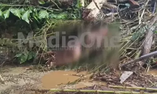 മുണ്ടക്കൈയില്‍നിന്ന് ചാലിയാറിലേക്ക് കുത്തിയൊലിച്ചെത്തിയത് 17 മൃതദേഹങ്ങള്‍