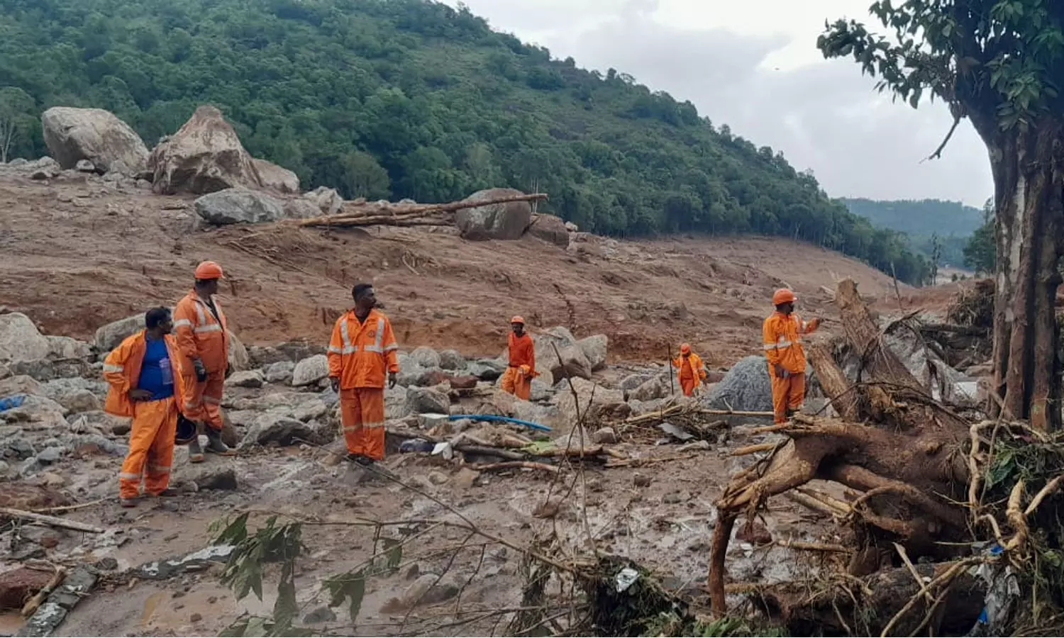 മരണം 280 ആയി; ചൂരൽമലയിൽ ശക്തമായ മഴ മരണം 280 ആയി; ചൂരൽമലയിൽ ശക്തമായ മഴ