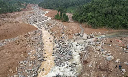 Wayanad disaster victims will be provided temporary accommodation in the homes of expatriates