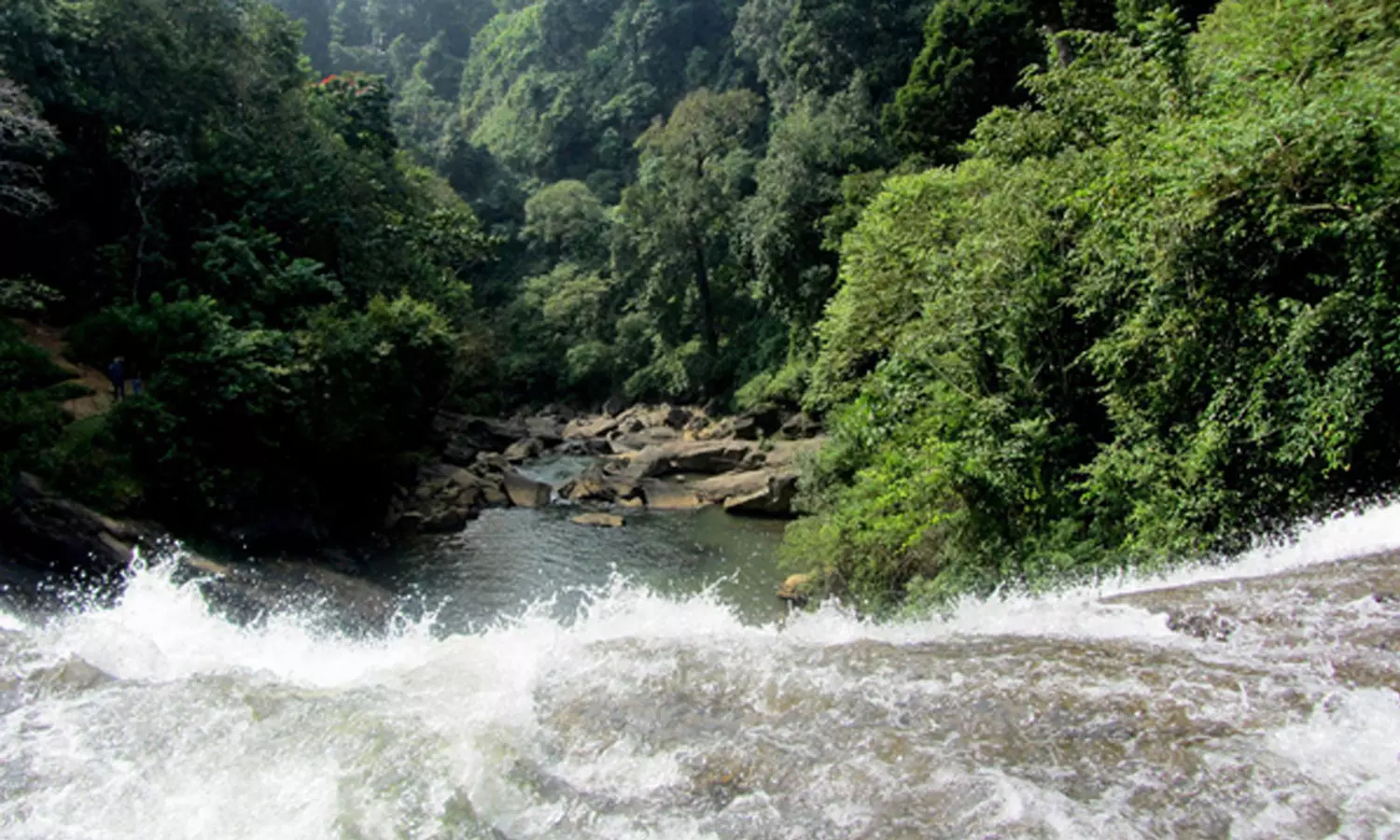 വനത്തില്‍ കുടുങ്ങിയ രക്ഷാപ്രവർത്തകർ സുരക്ഷിതർ; ഇവര്‍ കാന്തൻപാറയിലെ ഔട്ട് പോസ്റ്റിലെത്തി