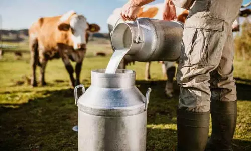 Mundakai disaster: Loss of Rs 68.13 lakh in dairy sector Mundakai disaster: Loss of Rs 68.13 lakh in dairy sector