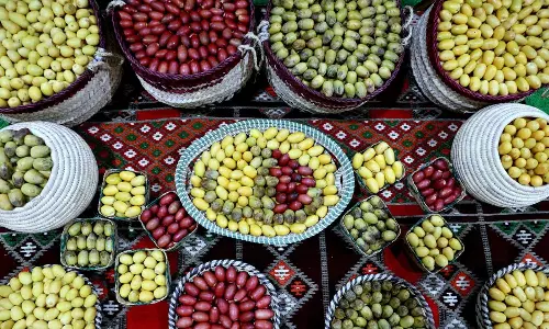 സൂഖ് വാഖിഫ് ഈത്തപ്പഴമേളയിൽ വിറ്റഴിഞ്ഞത് 240 ടണ്ണിലധികം ഈത്തപ്പഴം