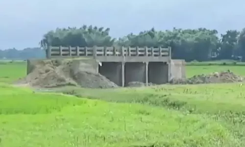 bihar bridge