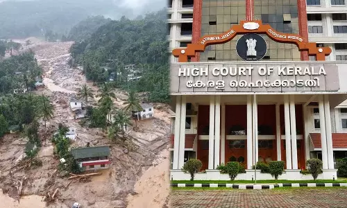 amicus curiae,natural disaster,High Court  ,mudakkai landslide,wayanad landslide,മുണ്ടക്കൈ ദുരന്തം,വയനാട് ഉരുള്‍പൊട്ടല്‍,മുണ്ടക്കൈ ഉരുള്‍പൊട്ടല്‍