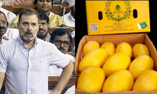 rahul gandhi mango