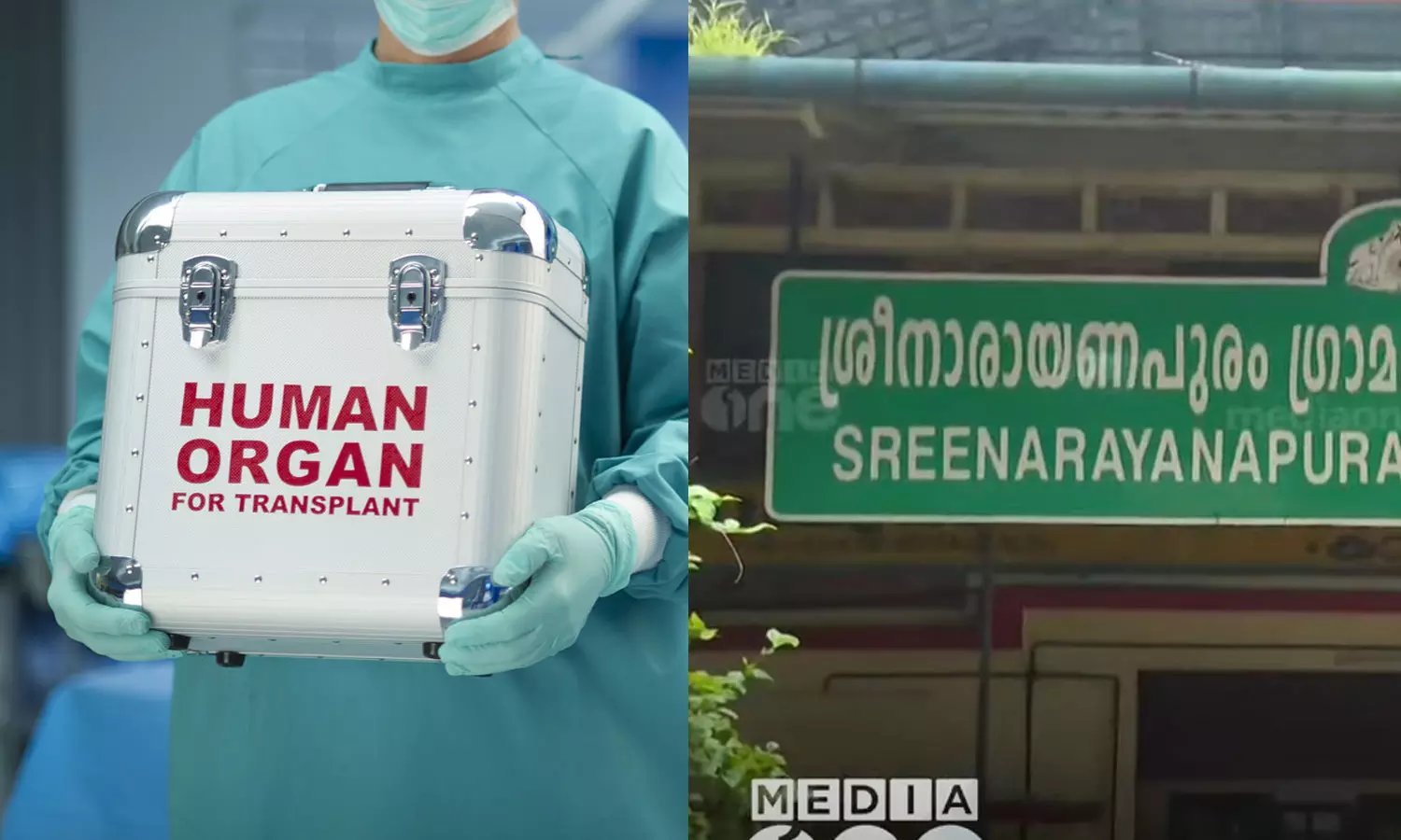organ mafia ,human organs,Organ Trafficking ,അവയവ മാഫിയ,തൃശ്ശൂര്‍,