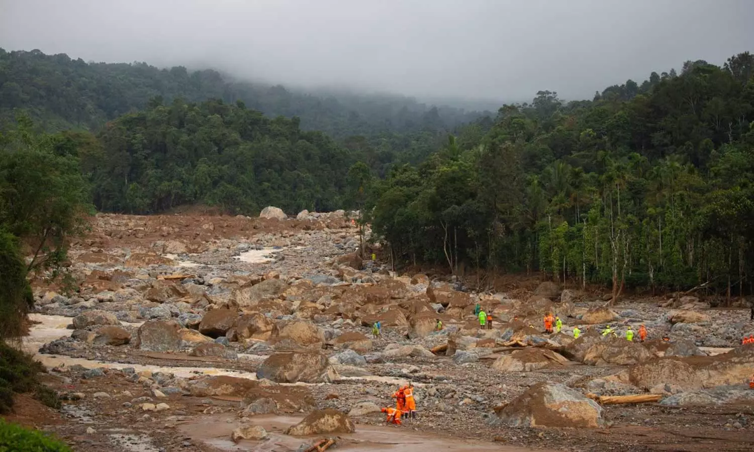 വയനാട് ദുരന്തം; രേഖകള്‍ വീണ്ടെടുക്കാന്‍ നാളെ പ്രത്യേക ക്യാമ്പുകള്‍