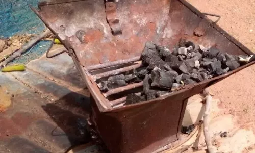 ബാർബിക്യൂ അടുപ്പ് കെടുത്താതെ ഉറങ്ങി; 2 യുവാക്കൾ വിഷപ്പുക ശ്വസിച്ച് മരിച്ചു