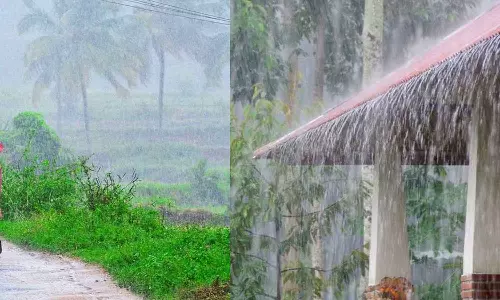 rainRain will continue in the state today; Vigilance warning in seven districts, latest news malayalam  സംസ്ഥാനത്ത് ഇന്നും മഴ തുടരും; ഏഴ് ജില്ലകളിൽ ​ജാ​ഗ്രതാ മുന്നറിയിപ്പ്