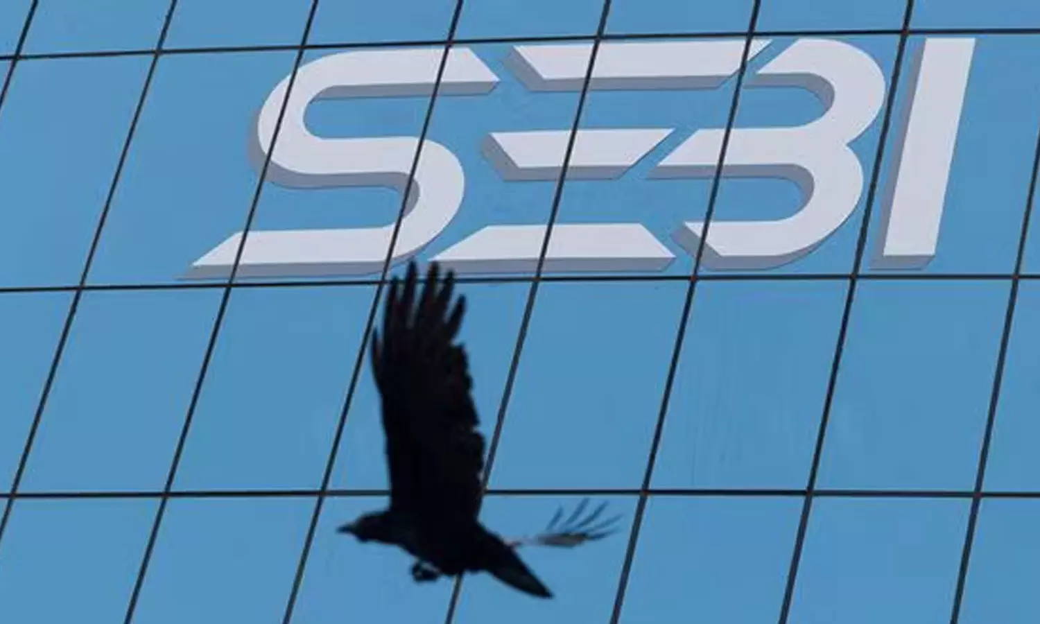 Hindenburg report,sebi