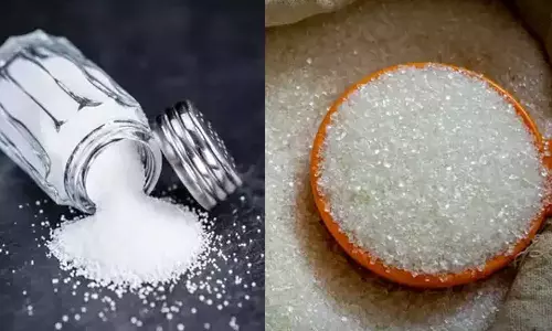 ഇന്ത്യയിലെ പഞ്ചസാരയിലും ഉപ്പിലും മൈക്രോപ്ലാസ്റ്റിക് അടങ്ങിയിട്ടുണ്ടെന്ന് പഠനം