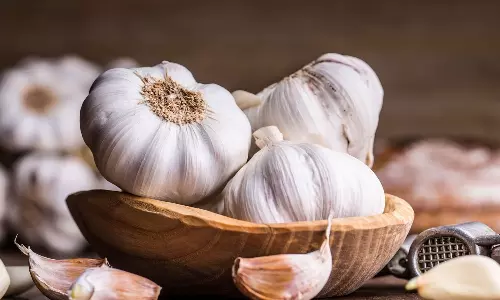 garlic, garlic spice or vegetable,Madhya Pradesh, High Court ruling ,വെളുത്തുള്ളി, സുഗന്ധവ്യഞ്ജനം,മധ്യപ്രദേശ്