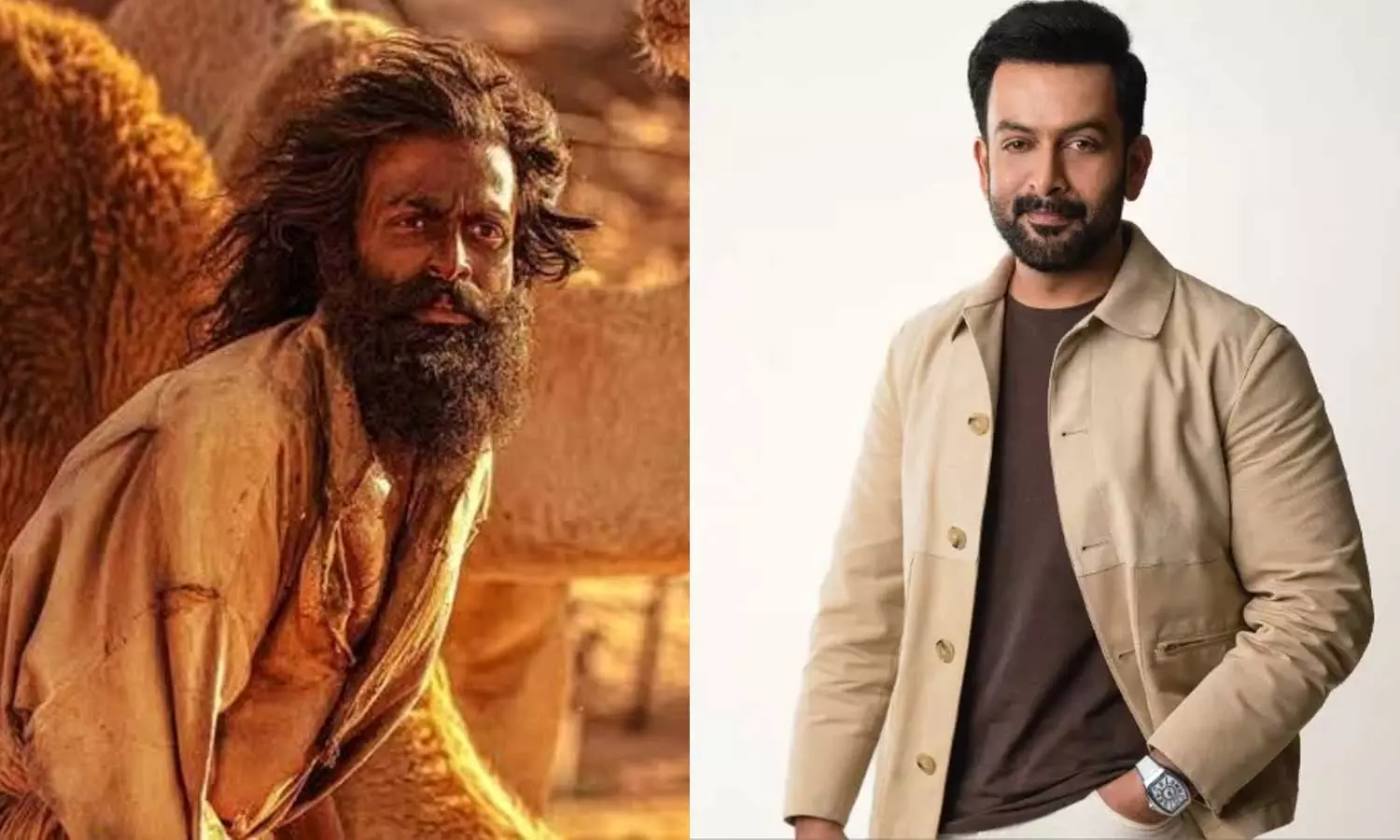 എല്ലാവർക്കും അവകാശപ്പെട്ട വിജയമാണിത്; പൃഥ്വിരാജ് സുകുമാരൻ എല്ലാവർക്കും അവകാശപ്പെട്ട വിജയമാണിത്; പൃഥ്വിരാജ് സുകുമാരൻ