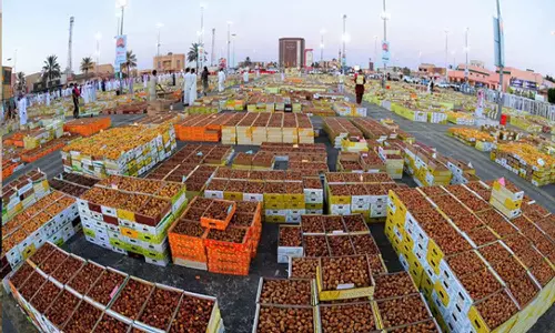 ലോകത്തിലെ ഏറ്റവും വലിയ ഈന്തപ്പഴ മേള: ബുറൈദ ഫെസ്റ്റിലേക്ക് സന്ദർശകരുടെ ഒഴുക്ക്