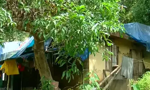 31 tribal families from Malappurams Thandankallu, Pothukallu, are yet to be rehabilitated after the 2018 landslide