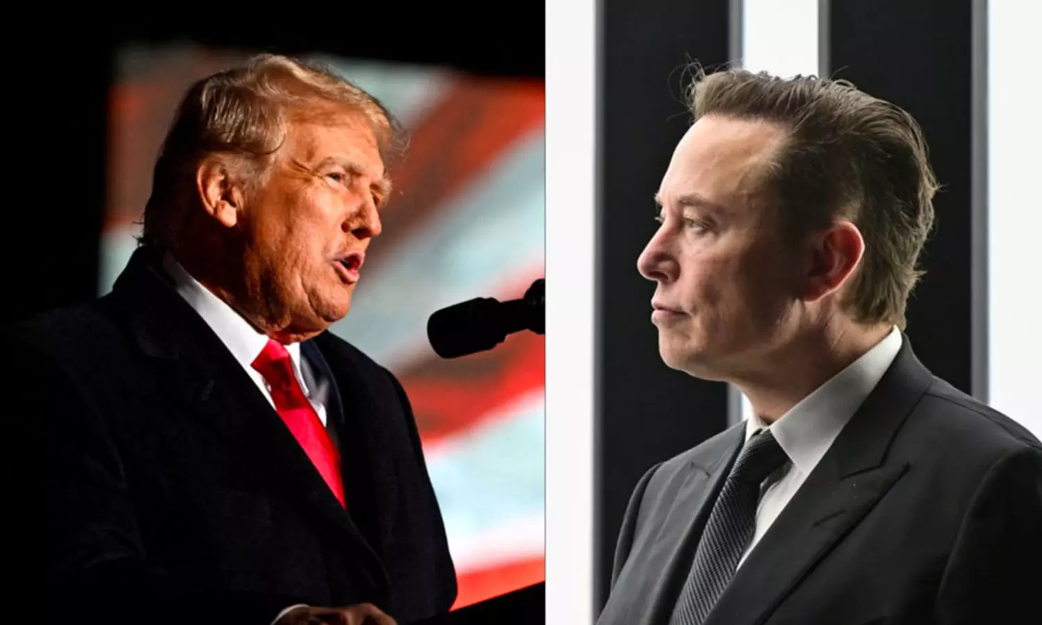 Donald Trump Says He Would Offer Elon Musk A Cabinet Position If Re-Elected