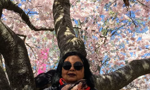 ചെറിമരങ്ങള്‍ വസന്തോട് ചെയ്യുന്നത്