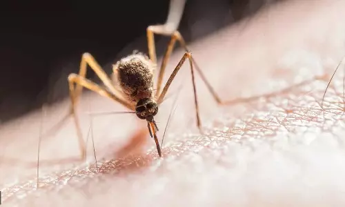 സംസ്ഥാനത്ത് പനിമരണം കൂടുന്നു; ഈ മാസം ഇതുവരെ എലിപ്പനി ബാധിച്ച് മരിച്ചത് 20 പേർ