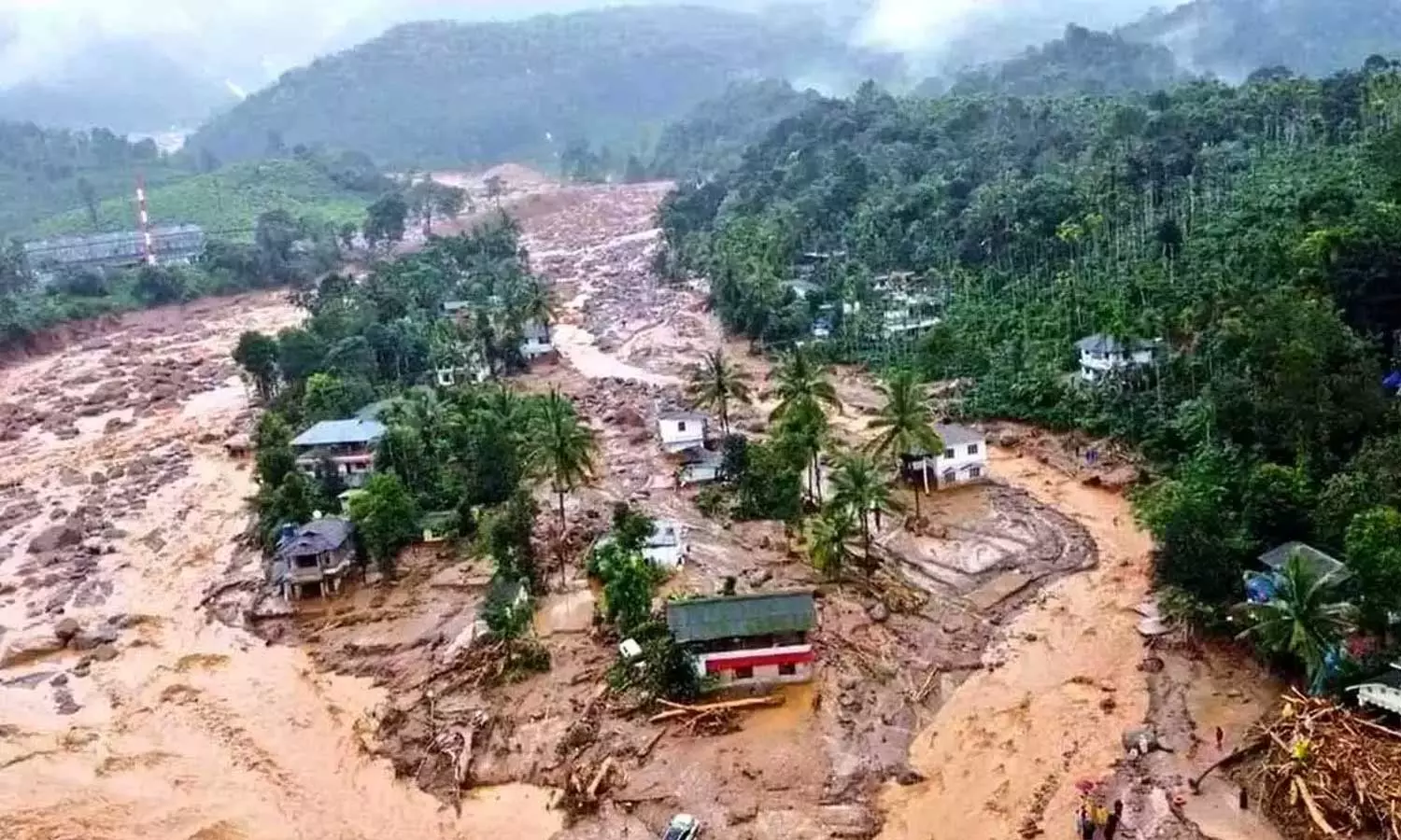 Meeting today to discuss including rehabilitation  in Mundakai Disaster