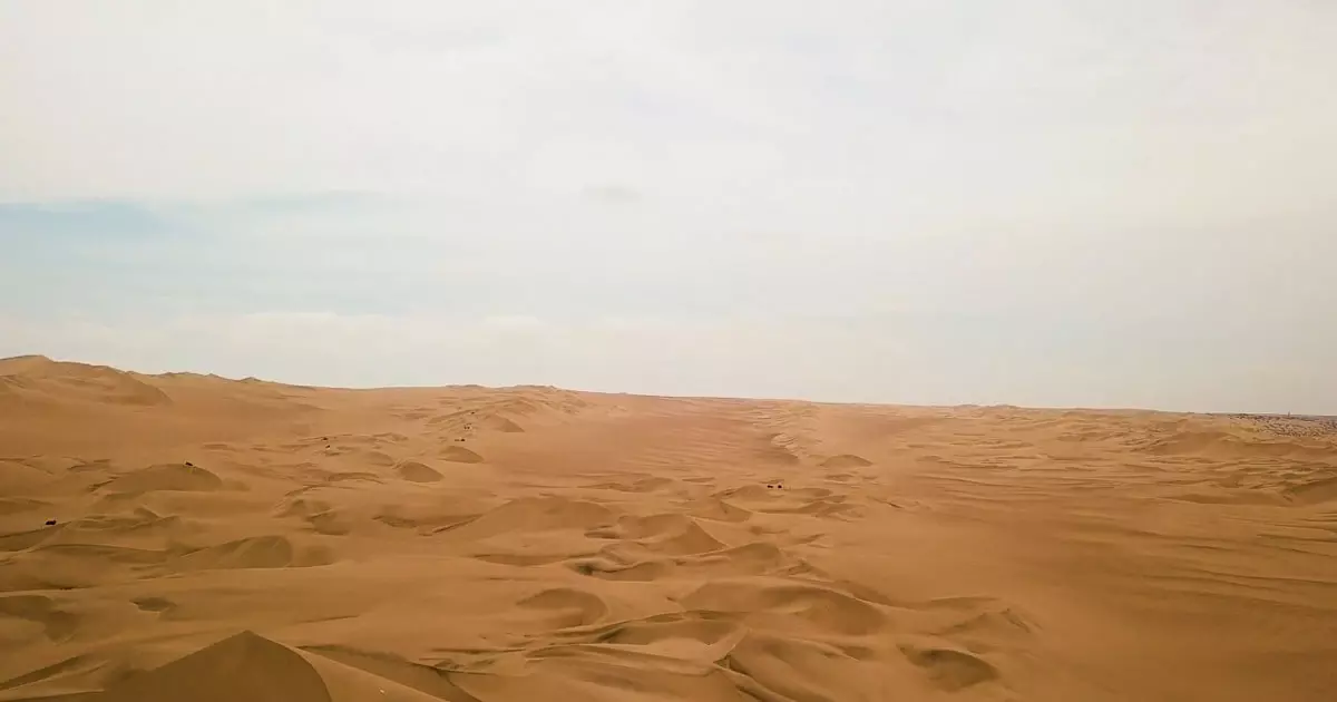 Two people, including an Indian, were found dead in the desert of Saudi Arabia