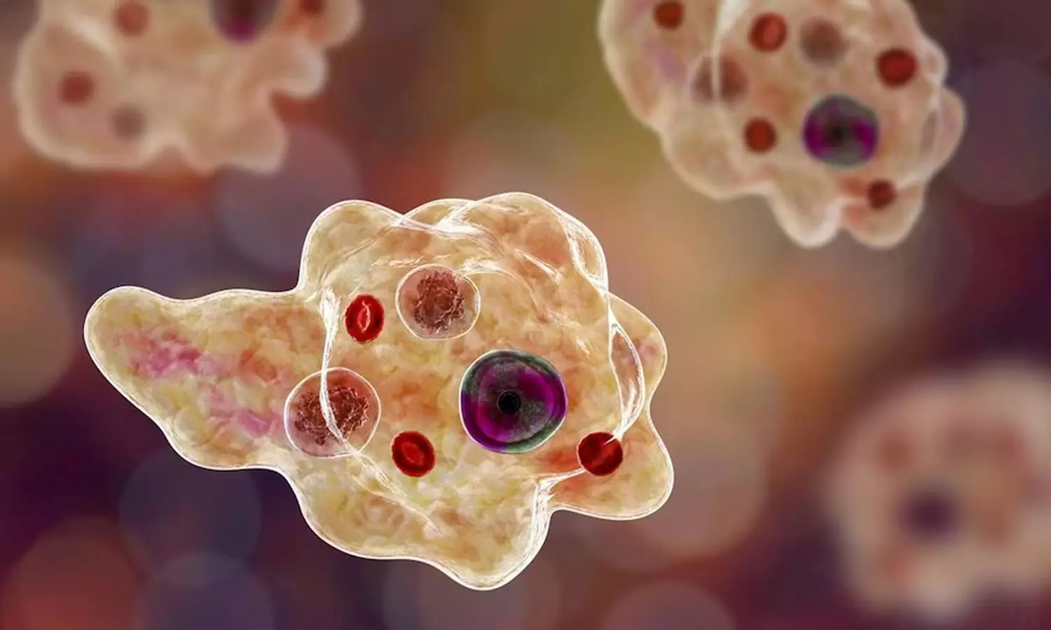 അമീബിക് മസ്തിഷ്ക ജ്വരം; ഗവേഷണം കേരളം ഏറ്റെടുക്കും, രാജ്യത്ത് ആദ്യമായി ആക്ഷൻ പ്ലാൻ