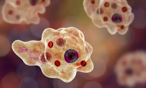 അമീബിക് മസ്തിഷ്ക ജ്വരം; ഗവേഷണം കേരളം ഏറ്റെടുക്കും, രാജ്യത്ത് ആദ്യമായി ആക്ഷൻ പ്ലാൻ