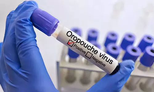 Everything To Know About Oropouche Virus Detected In US