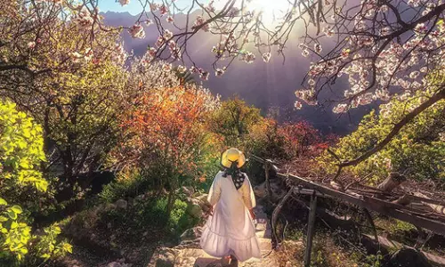 Oman ranks among the top tourist destinations in Middle East Africa