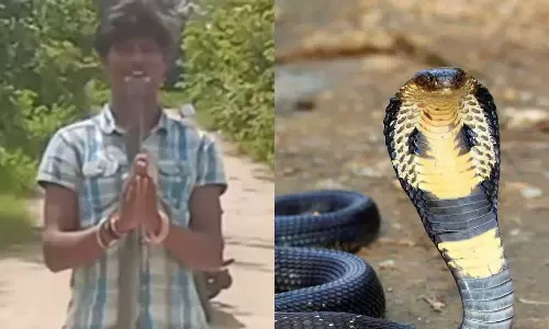 Youth Dies from Cobra Bite During Selfie in telengana