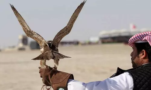 ഖത്തറിൽ പക്ഷിവേട്ട സീസണിന് തുടക്കം; ഫെബ്രുവരി 15 വരെ തുടരും