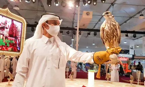 കതാറ അന്താരാഷ്ട്ര ഫാൽക്കൺ പ്രദർശനത്തിന് തുടക്കമായി