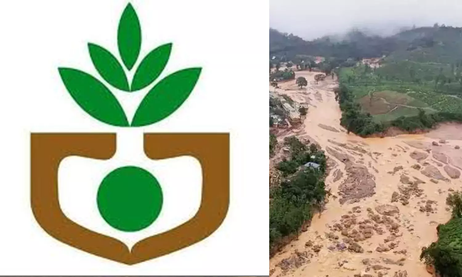 Relief for Wayanad disaster victims; Loans of more than one crore rupees will be written off, വയനാട് ദുരന്ത ബാധിതർക്ക് ആശ്വാസം; ഒരു കോടിയിലേറെ രൂപയുടെ വായ്പ്പകൾ എഴുതി തള്ളും