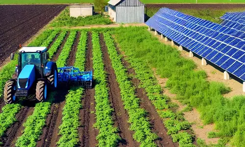 കാർഷിക മേഖലയിൽ ഖത്തർ വൻ മുന്നേറ്റമുണ്ടാക്കിയതായി പഠനം