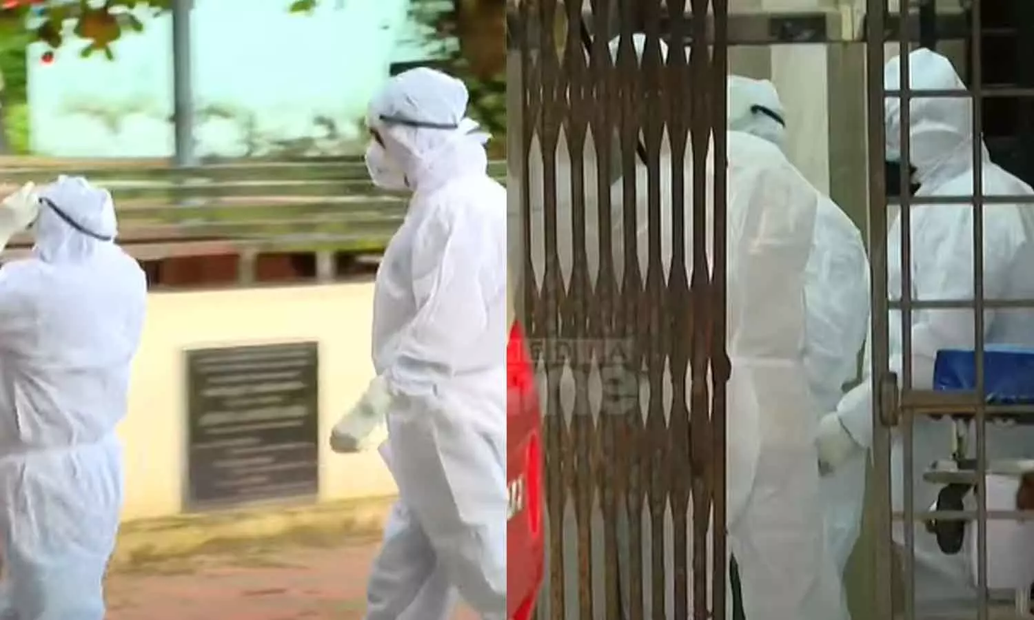 nipha virus nipha virus