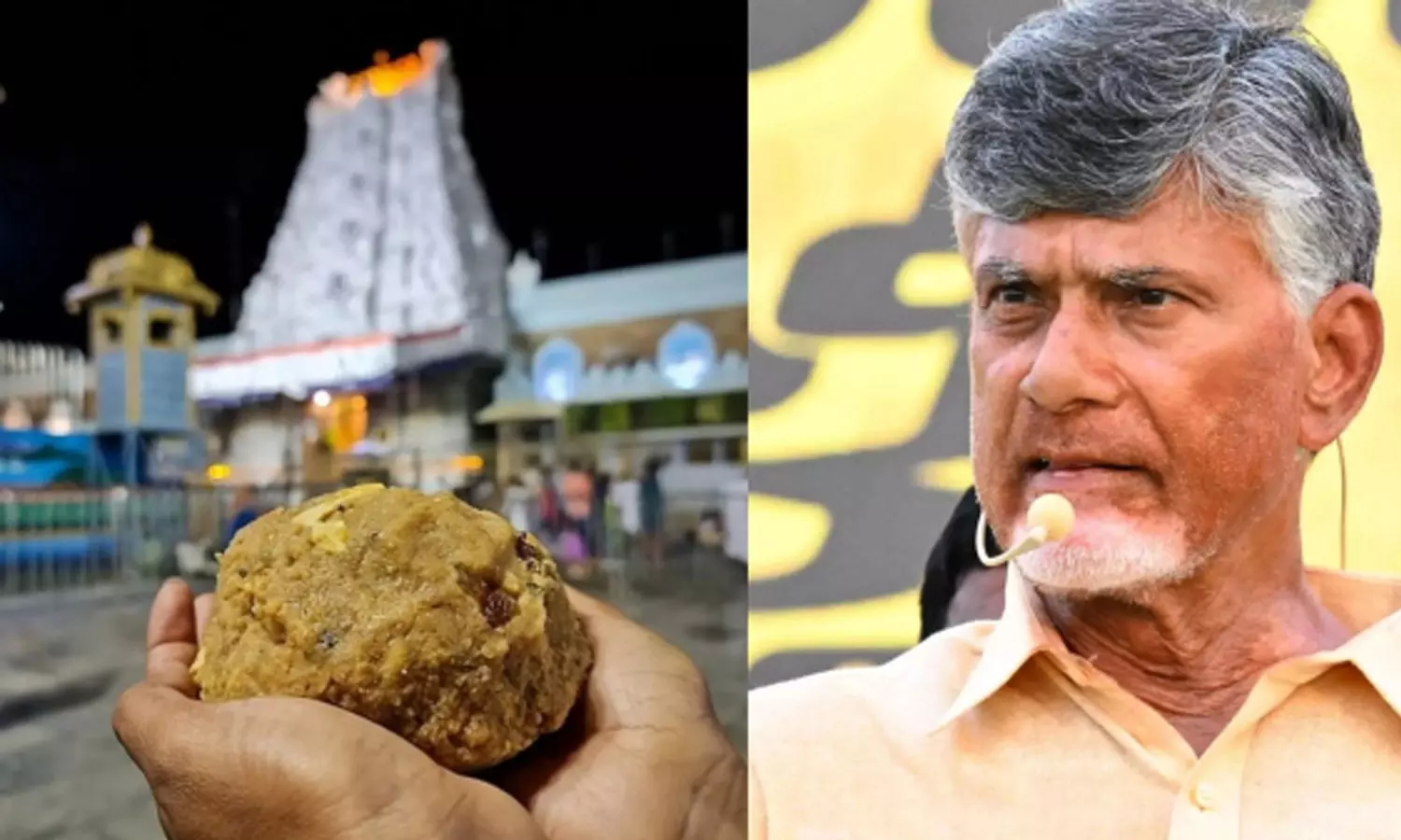 ജഗൻ മോഹൻ സർക്കാർ തിരുപ്പതി ലഡു  ഉണ്ടാക്കിയത് മൃഗക്കൊഴുപ്പും മത്സ്യ എണ്ണയും ഉപയോഗിച്ച്; ലാബ് റിപ്പോർട്ട് പുറത്തുവിട്ട് ടിഡിപി