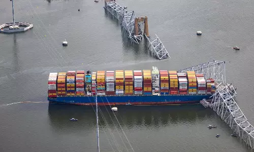 Baltimore Bridge Collapse: US Seeks $100 Million In Damages From Ship Owner