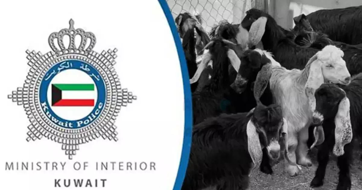 21 goats worth 3000 dinars were stolen from Al Ahmadi Stables area in Kuwait.