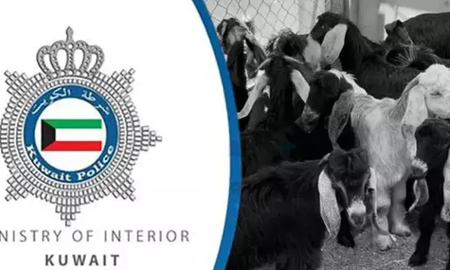 21 goats worth 3000 dinars were stolen from Al Ahmadi Stables area in Kuwait.